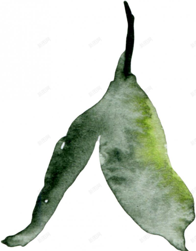 情人节花瓣插画多肉盆栽植物花卉植物花边插画png免抠素材_88icon https://88icon.com 情人节花瓣 插画多肉盆栽 植物花卉 植物花边插画