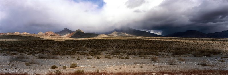 风景风光摄影树林自然风景摄影自然景观摄影摄影自背景图片 风景风光摄影树林自然风景摄影自然景观摄影摄影自背景