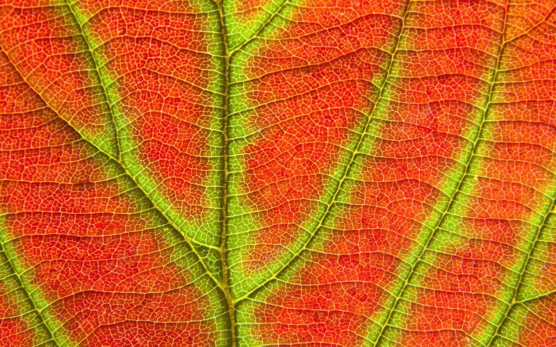 NaturePatterns07天空白云蓝天白云合jpg设计背景_88icon https://88icon.com 合成 场景 天空 河水 海底 海水 海洋 白云 蓝天 蓝天白云