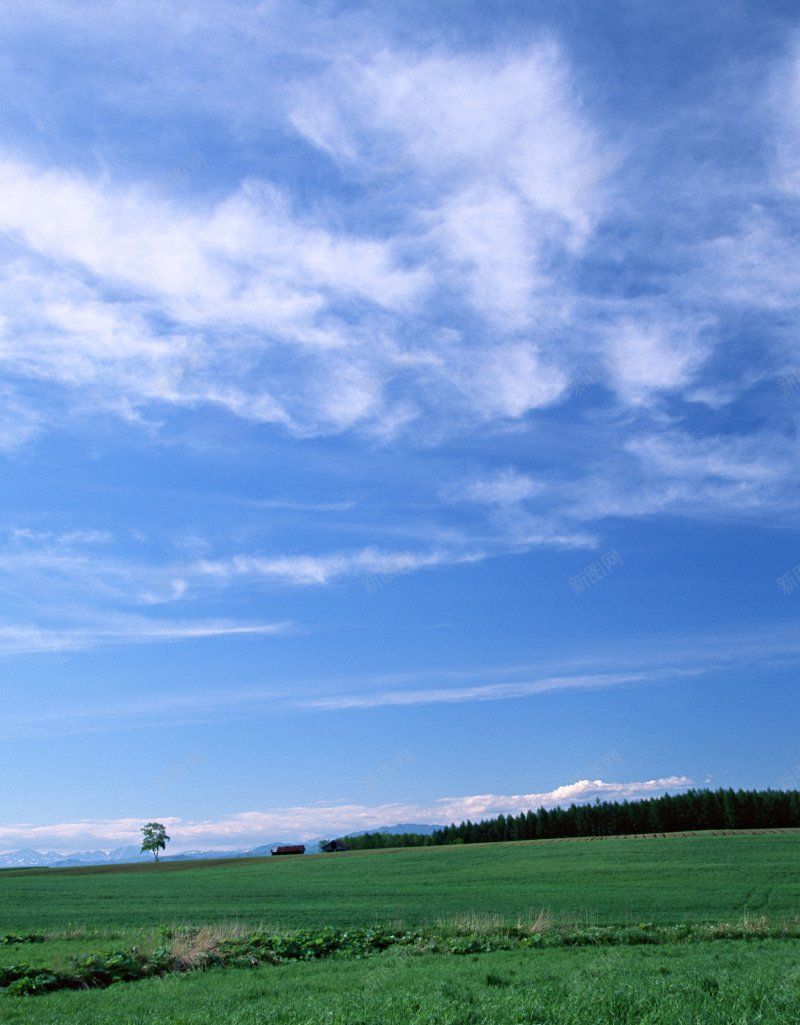 风景天空蓝天白云溪水海洋河流瀑布草地森林高山花丛晚jpg设计背景_88icon https://88icon.com 天空 森林 河流 溪水海洋 瀑布 花丛 草地 蓝天白云 风景 高山