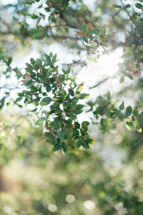 1000夏天Pexels免费jpg设计背景_88icon https://88icon.com Pexels 免费图片 夏天图片
