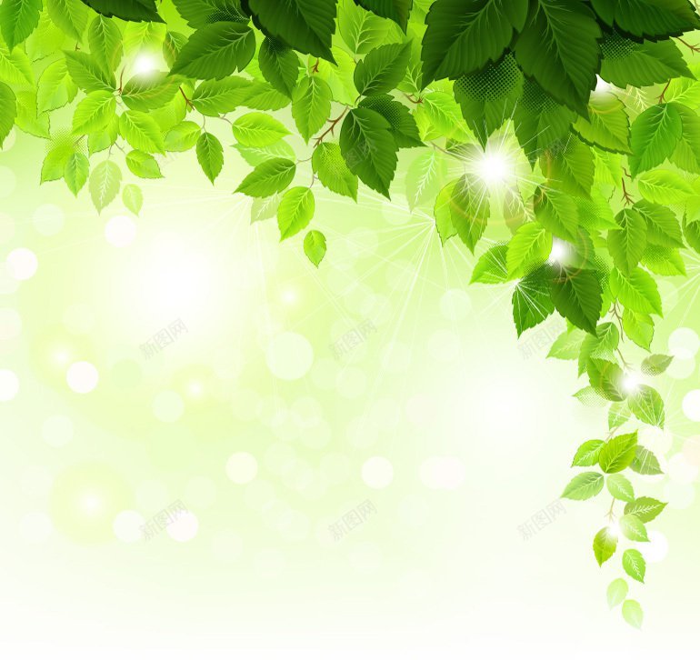 夏天精美树叶矢量树叶jpg设计背景_88icon https://88icon.com 夏天精美树叶矢量 树叶