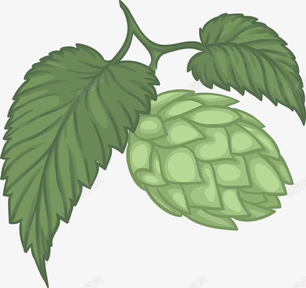 手绘水果png免抠素材_88icon https://88icon.com 手绘 番荔枝