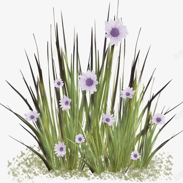 紫色薰衣草png免抠素材_88icon https://88icon.com 手绘 薰衣草 逼真好