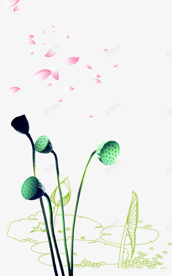 莲png免抠素材_88icon https://88icon.com 花瓣 莲