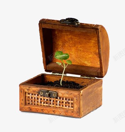 木框里的植物苗png免抠素材_88icon https://88icon.com 成长 泥土 生长