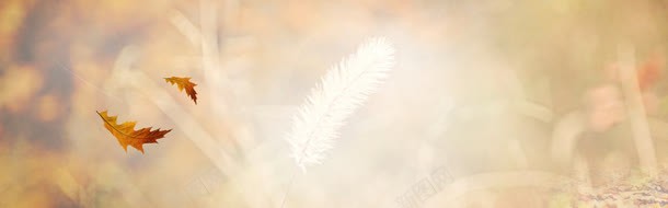 轮播背景海报淘宝广告淘宝png免抠素材_88icon https://88icon.com banner 淘宝 淘宝广告 淘宝简约大气通用轮播banner 轮播背景海报