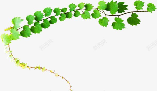 绿色卡通树藤美景春天png免抠素材_88icon https://88icon.com 卡通 春天 树藤 绿色 美景