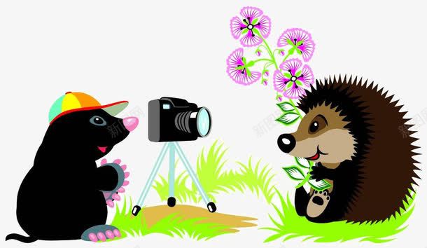 卡通刺猬照相机png免抠素材_88icon https://88icon.com 刺猬 卡通 照相机素材 花朵