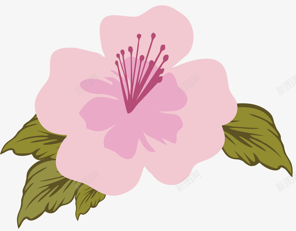 水彩粉色杜鹃花矢量图eps免抠素材_88icon https://88icon.com 卡通杜鹃花 卡通风格 杜鹃花 水彩粉色 矢量图 矢量杜鹃花 花朵