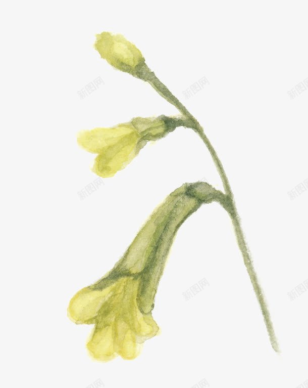 水墨金银花png免抠素材_88icon https://88icon.com 水墨 素材 背景 花朵