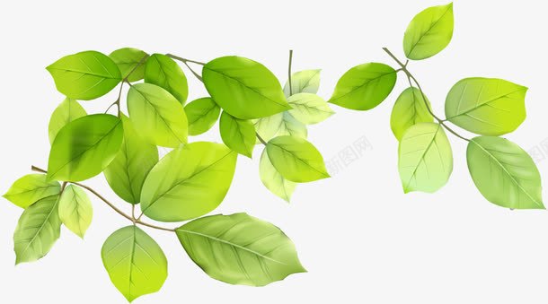 春日树叶美景嫩绿png免抠素材_88icon https://88icon.com 嫩绿 春日 树叶 美景