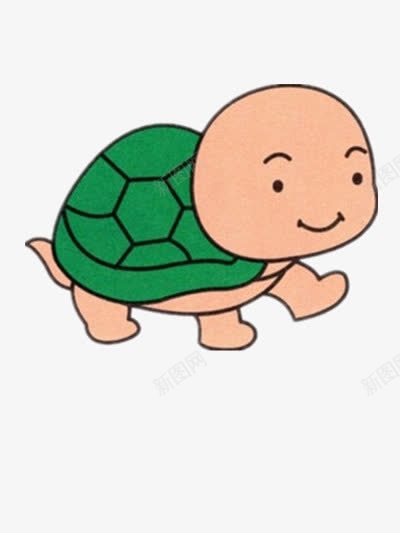 俏皮的小乌龟png免抠素材_88icon https://88icon.com 光头 卡通 图片 龟壳