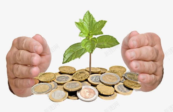 呵护金钱树苗png免抠素材_88icon https://88icon.com 呵护 树苗 金融 金钱