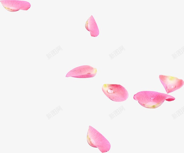 粉色卡通花瓣创意png免抠素材_88icon https://88icon.com 创意 卡通 粉色 花瓣