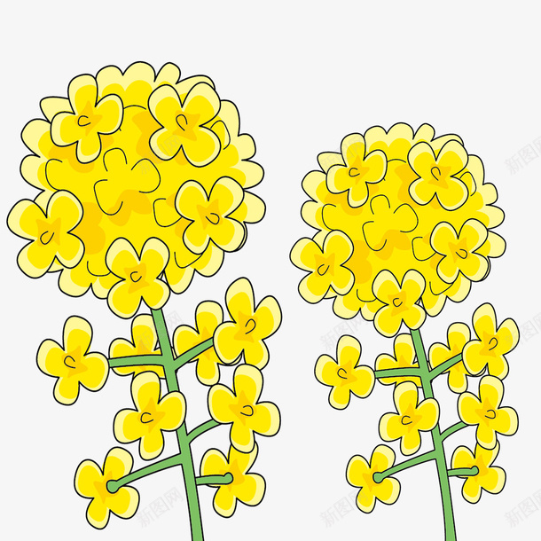 手绘卡通黄色油菜花psd免抠素材_88icon https://88icon.com 卡通 手绘 手绘卡通黄色油菜花 油菜花 花朵 装饰 黄色