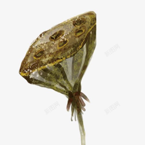 莲藕片png免抠素材_88icon https://88icon.com 莲藕 莲藕免扣 莲藕免扣图片 莲藕图片 莲藕素材
