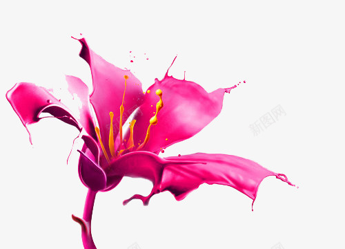 粉红色图案psd免抠素材_88icon https://88icon.com 图案 粉红色 花朵