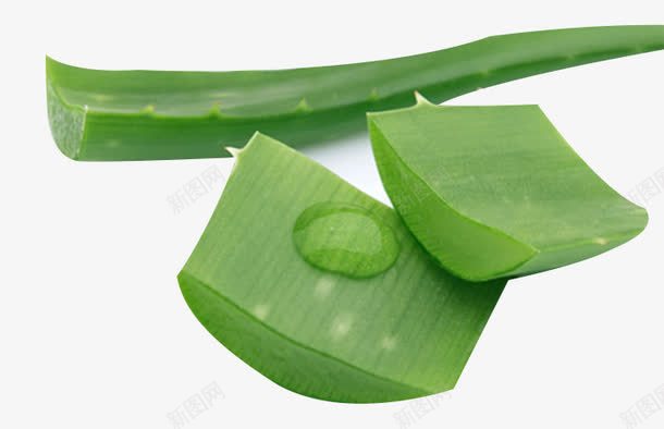 绿色芦荟材料png免抠素材_88icon https://88icon.com 芦荟制品 芦荟材料 芦荟汁 芦荟食材
