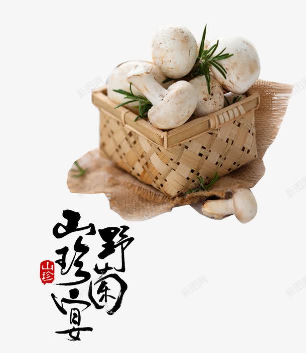 野菌png免抠素材_88icon https://88icon.com 产品实物 山珍 菌 野山菌