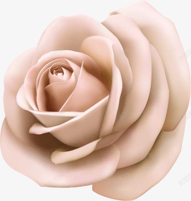 玫瑰花矢量图eps免抠素材_88icon https://88icon.com 婚礼 情人节 玫瑰花 逼真效果 矢量图