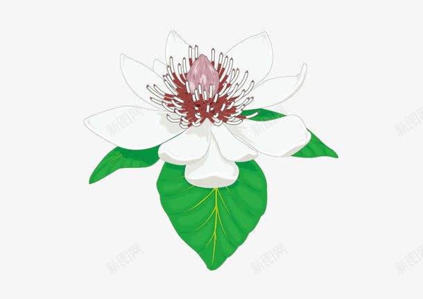 百花粉色花蕾绿叶png免抠素材_88icon https://88icon.com 百花 粉色 绿叶 花蕾