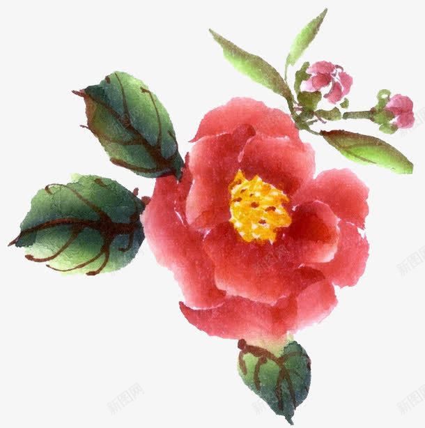 山茶花png免抠素材_88icon https://88icon.com 中国风 山茶 山茶树 手绘 装饰
