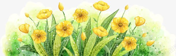 一大片黄花png免抠素材_88icon https://88icon.com 植物 绿叶 黄花