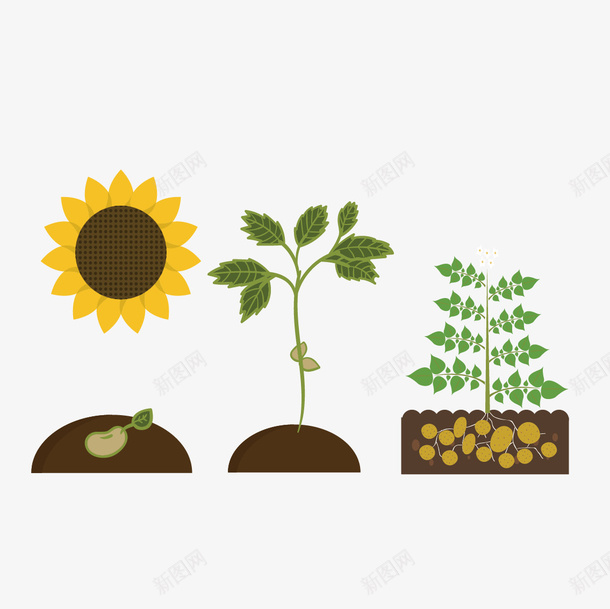 花和草矢量图eps免抠素材_88icon https://88icon.com 扁平 植物 花 草 矢量图