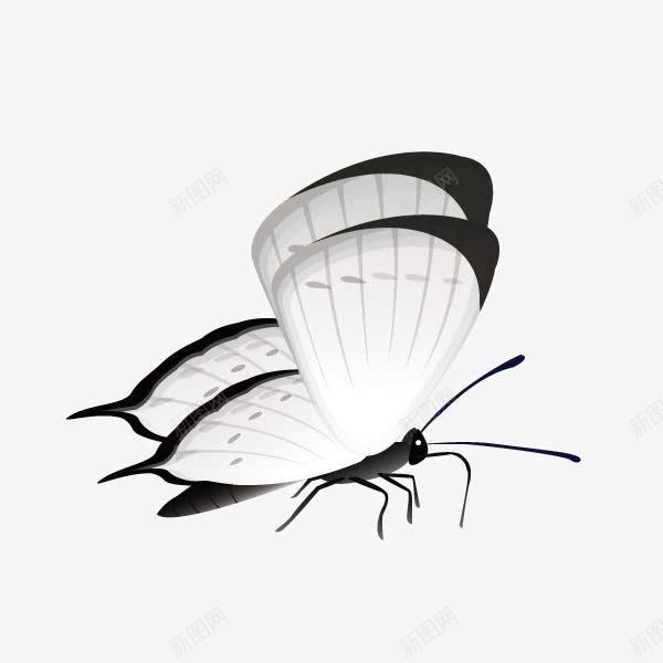 蝴蝶冷色系png免抠素材_88icon https://88icon.com 冷色系 蝴蝶