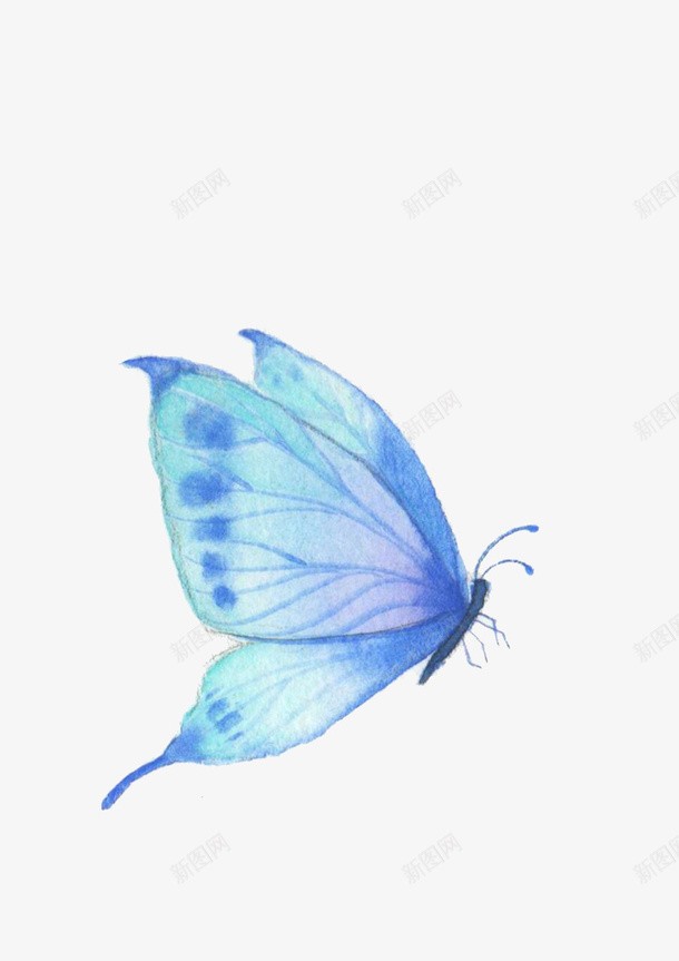 手绘素色蝴蝶png免抠素材_88icon https://88icon.com 手绘 素色 蝴蝶