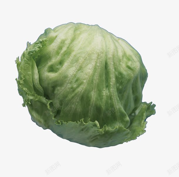包菜png免抠素材_88icon https://88icon.com 缁胯壊 鏋滆敩 鐢熼矞