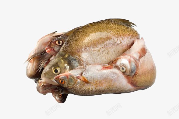 冰冻鱼png免抠素材_88icon https://88icon.com 免抠 冰冻鱼 实物 生鱼 食材 鱼