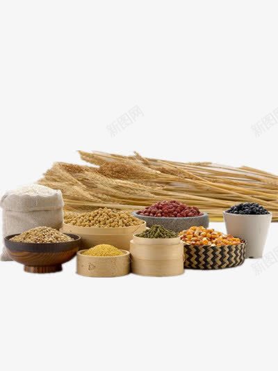 健康五谷食谱png免抠素材_88icon https://88icon.com 五谷 健康 食谱