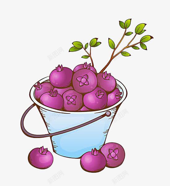 一桶山竹png免抠素材_88icon https://88icon.com 叶子 山竹 植物 水果 矢量装饰 装饰
