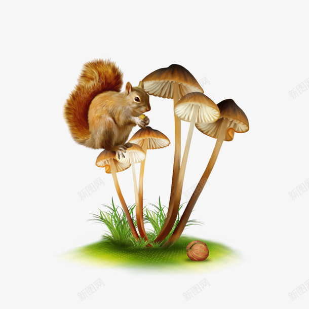 装饰田园风png免抠素材_88icon https://88icon.com 手绘 手绘装饰图片 田园风 装饰图片素材