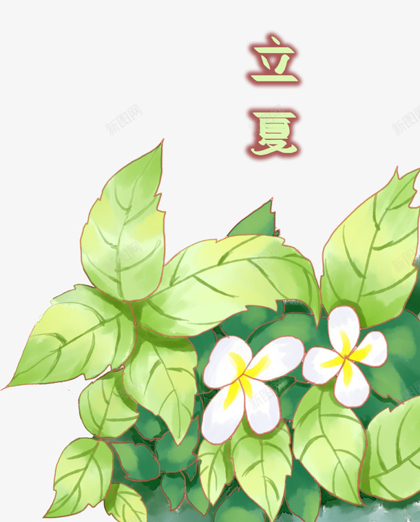 手绘装饰插图立夏节气插画png免抠素材_88icon https://88icon.com 二十四节气 手绘 插画 植物插图 立夏 装饰插图