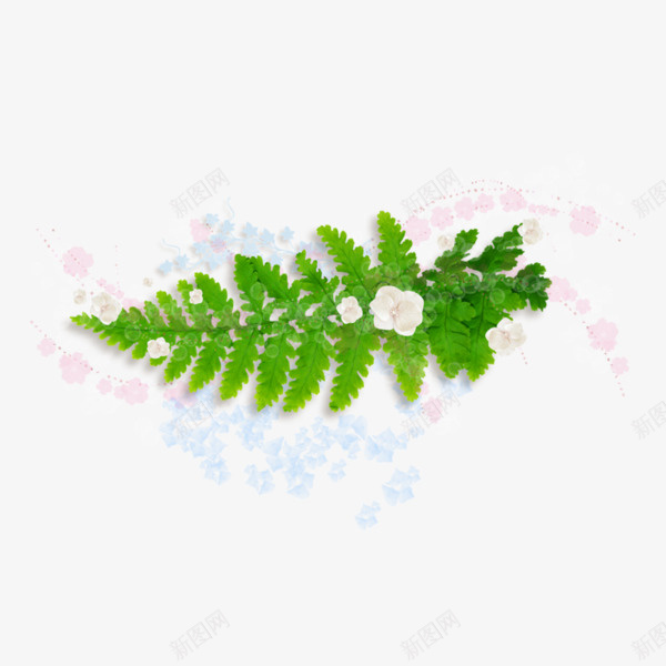 绿色蕨类叶子png免抠素材_88icon https://88icon.com 叶子 手绘 植物 蕨类