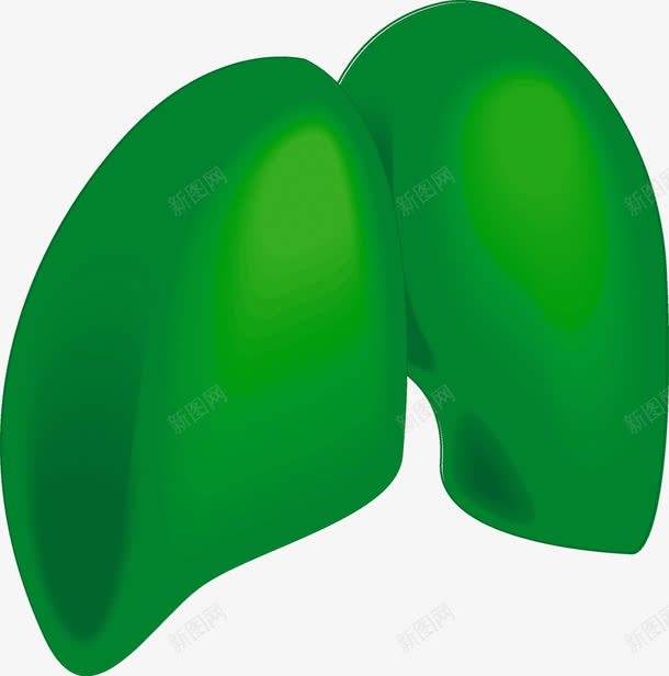 人体内脏png免抠素材_88icon https://88icon.com 人体 人体内脏器官 内脏 器官 肺