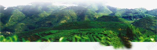 茶园风景元素png免抠素材_88icon https://88icon.com 茶 茶园 茶园风景