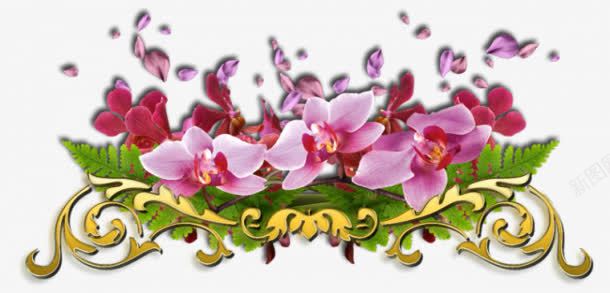粉色花朵花瓣装饰png免抠素材_88icon https://88icon.com 粉色 花朵 花瓣 装饰