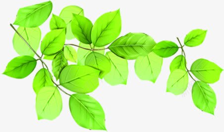 春天绿叶植物树枝png免抠素材_88icon https://88icon.com 春天 树枝 植物 绿叶