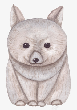 卡通可爱小动物装饰动物头像png图片下载 卡通可爱小动物装饰动物头像素材