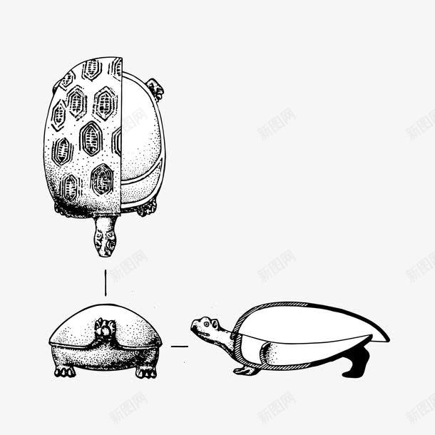 手绘龟形容器png免抠素材_88icon https://88icon.com 中国风 文化 龟形容器