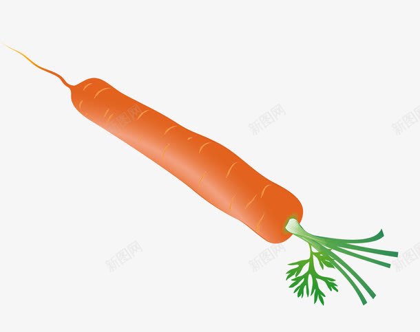 红萝卜png免抠素材_88icon https://88icon.com 红萝卜 胡萝卜免费png下载 胡萝卜矢量图