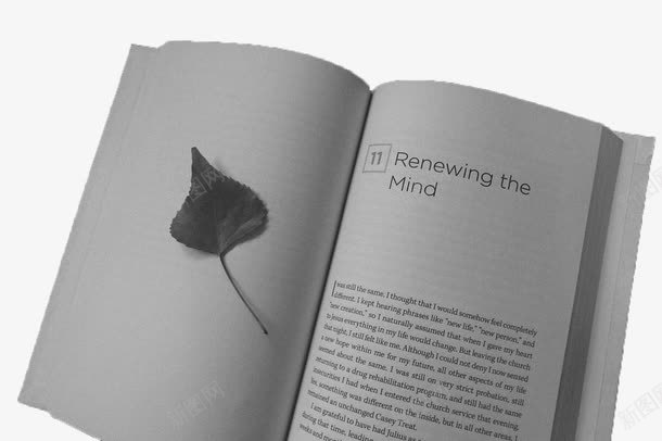 翻开的书本png免抠素材_88icon https://88icon.com 书本 叶子 白色