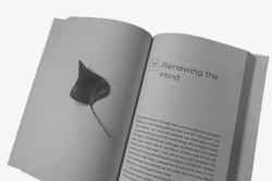 翻开的书本png图片下载 翻开的书本素材