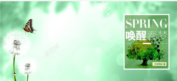 清新背景psd免抠素材_88icon https://88icon.com 清新 清新背景 清新装饰 蒲公英 蝴蝶