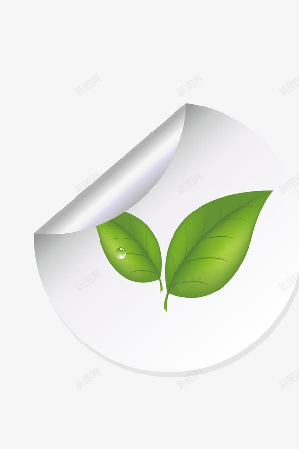 福鼎白茶图标png免抠素材_88icon https://88icon.com 图标 白茶 矢量素材 福鼎 福鼎白茶