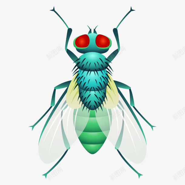 绿头苍蝇png免抠素材_88icon https://88icon.com png图形 png装饰 害虫 手绘 苍蝇 装饰